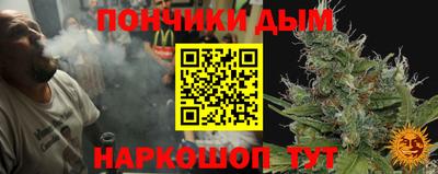 шишки Камышлов