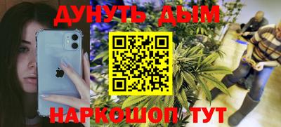 шишки Камышлов