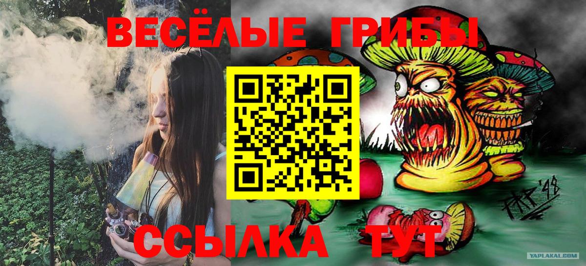 где можно купить наркотик  Галлюциногенные грибы ЛСД  Вход с VPN  Волжский  Галлюциногенные грибы Psilocybe 