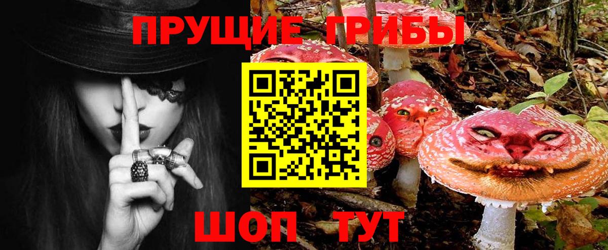 Галлюциногенные грибы Cubensis Волжский